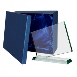 Stiklinis trofėjus G036 aukštis 19cm