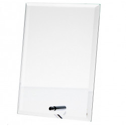 Stiklinis trofėjus M51A matmenys 250x160x10mm