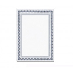 Diploma paper DYPLOM A4 170g 25 sheets ARKADY B