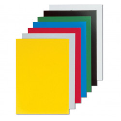 Binding back CHROMO FELLOWES, white 250g. 100 sheets