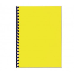 Binding back CHROMO FELLOWES, white 250g. 100 sheets