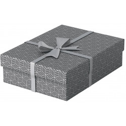 Storage box and gift box ESSELTE M 10x27x37cm, gray