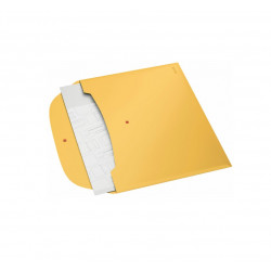 Aplankas su spaustuku ir kišene LEITZ COSY A4, geltonos spalvos
