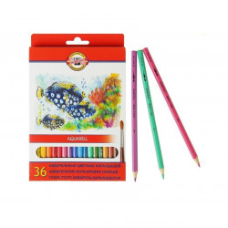 Colored watercolor pencils FISH 36 colors KOH-I-NOOR