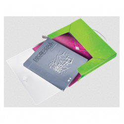 Document box Leitz WOW green color.