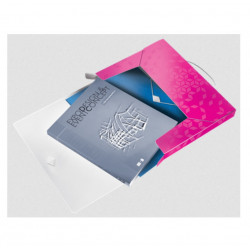 Document box Leitz WOW pink