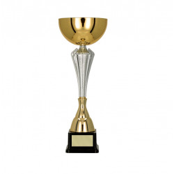 Trophy 7241B height 38cm diameter 14cm