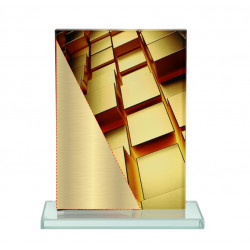 Glass trophy with metal plaque and 3D effect M82/D5 height 18.5cm