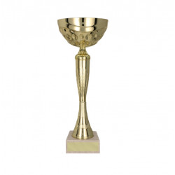 Trophy height 36.5 cm, width 14 cm