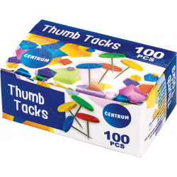 Colored pins CENTRUM, 100 pcs.