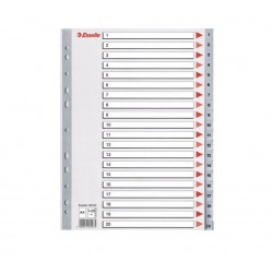 Separation sheets for binders A4 1-20 ESSELTE, plastic