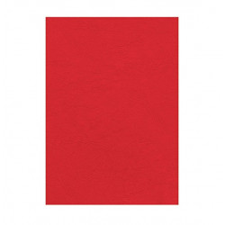 Binding back DELTA FELLOWES, red 100 sheets
