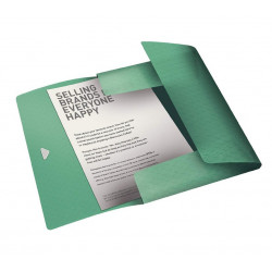 Folder for documents with 3 flaps ESSELTE Color Ice green color