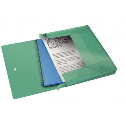 Document box ESSELTE Color Ice green color.