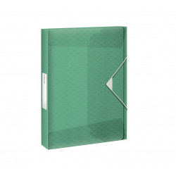 Document box ESSELTE Color Ice green color.