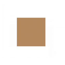 Colored paper A4 100 sheets 80g light brown.