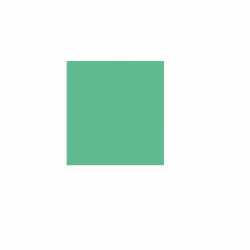 Colored drawing paper (Vatman) CARIBIC 65x92 cm 170g light green color