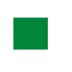 Colored drawing paper (Vatman) 61x86 cm A1 160g dark green color