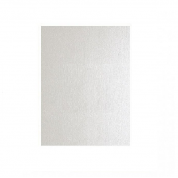 Decorative paper CURIOUS METALLICS A4 / 120g. platinum color
