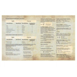Notebook Physics 32 sheets, checkered