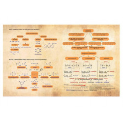 Notebook Chemistry 32 sheets, checkered