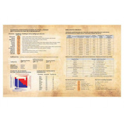 Notebook Chemistry 32 sheets, checkered
