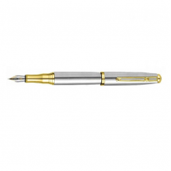 Pen in box REGAL silver with gold details