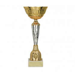 Trophy 9256C height 29cm