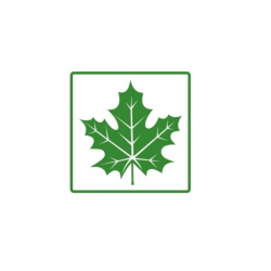 Magnetic Maple Leaf 10x10cm