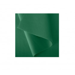 Šilko popierius 18g. 50x75 cm žalios spalvos, įp.24