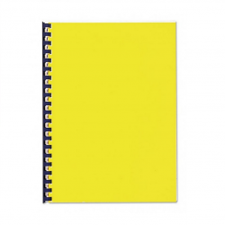 Binding back CHROMO FELLOWES, red 250g. 100 sheets