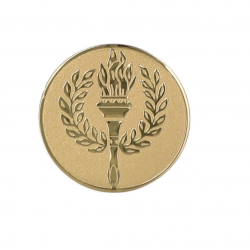 Insert for medal 25mm torch D1-A40 aukso spalvos