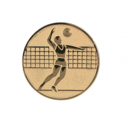 Medal 25mm mesh A6 gold color