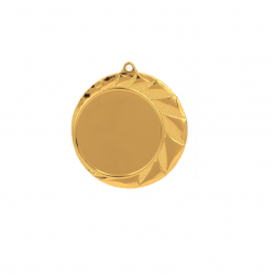 Medal (overall) 70 / 50mm gold color