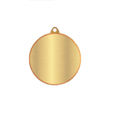 Medalis karate MMC6550 aukso sp.