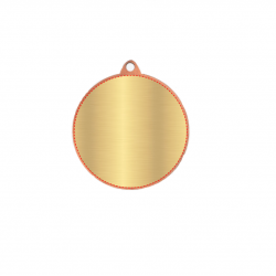 Medal karate 50mm MMC6550 bronze color