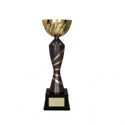 Trophy 7222D height 26 cm diameter 10 cm