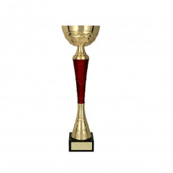 Trophy 9217I height 21cm diameter 7cm