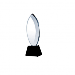 Stiklinis trofėjus C034 aukštis 30cm