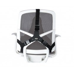 Ergonomic backrest for chair back FELLOWES