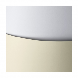 Decorative paper SMOOTH SATIN A4/20 sheets. 250g cream color
