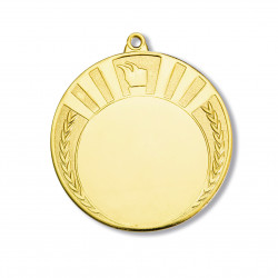 Medal common 70/50mm gold color