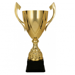 Trophy 3133C height 46cm diameter 18cm