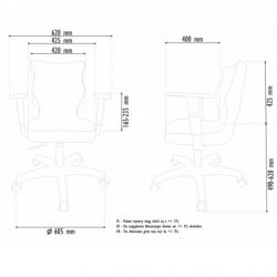 Chair ENTELO UNI BLACK Deco 17 dark gray color