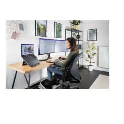 Dual monitor arm KENSINGTON