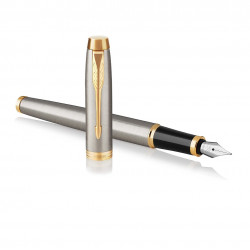Fountain pen PARKER IM BRUSHED METAL GT, silver color with gold-colored details