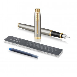 Fountain pen PARKER IM BRUSHED METAL GT, silver color with gold-colored details
