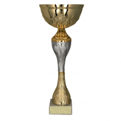 Trophy 9266C height 30cm diameter 12cm