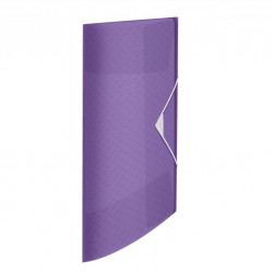 Folder for documents with 3 flaps ESSELTE COLOUR BREEZE, violet colorinė sp.