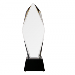 Stiklinis trofėjus C043 aukštis 31cm